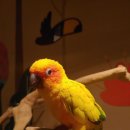 고양이카페 루프캣미 명동점 이미지