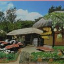 꽁보리밥 이미지