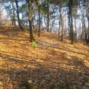 영림농장 이미지