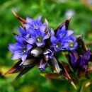 수석행정사사무소 이미지