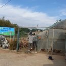 양계장농장 이미지