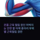 (주)상지정밀 | 온몸 근육 떨림 원인 허벅지 눈 안면 팔 어깨 종아리 부위별 근육떨림 경련