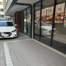 Q나인 | 신대방 카츠디나인 본점 후기_부드러운 안심카츠로 유명한 블루리본 맛집