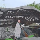물소리새소리 이미지