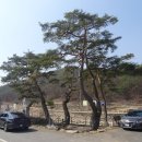 황정리 대흥사 앞 이미지