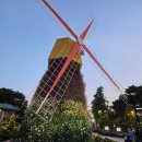 유림-27 | 2026년 대전 유림공원에서 봄꽃전시회&amp;유성온천문화축제 눈호강 했던 후기
