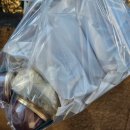 지에스25 울산문화공원점 | 울산 삼산 디저트 맛집 몬드제과 단골의 내돈내산 메뉴추천 및 웨이팅 후기(두쫀쿠 두바이, 링소금빵...