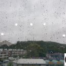 경춘자동차공업사 이미지