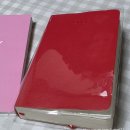 몰스킨 2026 데일리 소프트 커버 스칼렛레드 포켓(+pvc커버,다이소),예스24,후기!!