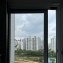 퍼펙트쉴드