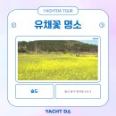 온천천시민공원 영산홍 이미지