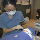 믿음치과의원 이미지