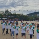 신지초등학교 이미지