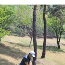 위비스볼빅대구