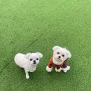 리앤드딩 이미지