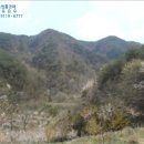 내서읍512 이미지