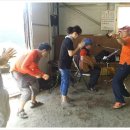 옥돌농장 이미지