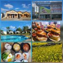 골목시장~새벽시장 횡단보도 | 제주 동쪽 여행 코스, 3~4월 성산일출봉 유채꽃과 빵지순례 명소 정복