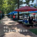 정관 햇동어린이공원 앞(2) | 2026 부산 기장 무료 물놀이장 개장 | 정관 윗골공원 6월 1일 개장