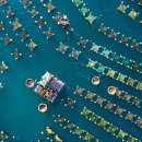 gc-camera-031 이미지