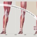 리두컴퍼니 이미지