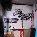 꿀잼 코인 노래연습장 이미지