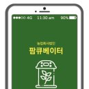 팜투어스