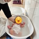 세종시 고운드림케어 산후도우미 서비스 이용후기