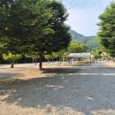 파피루스캠핑 | 포천 캠핑장 파피루스, 계곡 힐링 1박 5만원 찐후기 🏕️