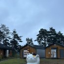 네코스테이 고양이마을 이미지