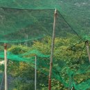 금산청계농장 이미지