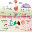 세원법의의원 | [공지] 💥 만성두드러기 🐝 / 알레르기 비염 🤧·후비루 증후군 😤 / 안면홍조 🔥·얼굴 피부염 😡 / 건조...