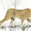 그림책으로 소통 이미지