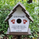 세븐일레븐대전둔산스카이점 | 대전 가볼만한곳 한밭수목원 산림욕 산책로 (3시간 무료주차)