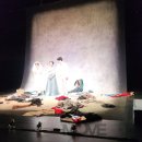 트윈 결혼정보 이미지