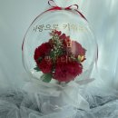 파티라슈 이미지