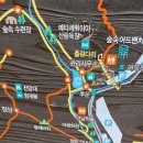 장태산자연휴양림 형제바위 형제봉 출렁다리 등산코스 다녀왔습니다
