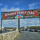 미나농장 이미지