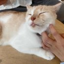 단골슈퍼마켙 이미지