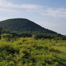 아라목장 이미지