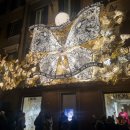 티바잉샵 이미지