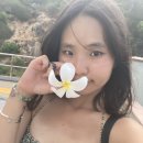 락앤롤 베이비 | 좀좀따리 호주여행 :3 모음