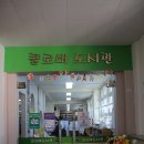 부산여자중학교 Daum카페