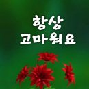 산림욕장 이미지