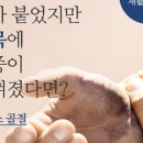 연세1번약국 이미지