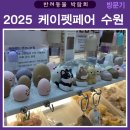 수원 | 2025 케이펫페어 수원 후기