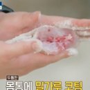 라이언피시 이미지