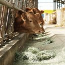 신재일농장 이미지