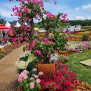 부흥마을 이미지