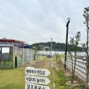 양주 애견카페 운동장넓은곳 수영장 풀멍파크 내돈내산후기
